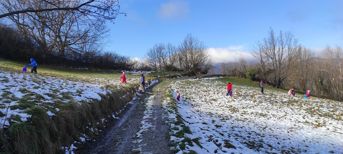 corse sul prato innevato